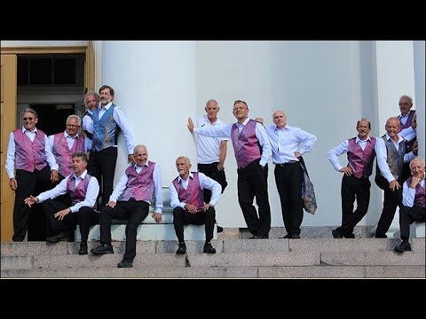 Das SuisseGymTeam an der Gymnaestrada 2015 in Helsinki