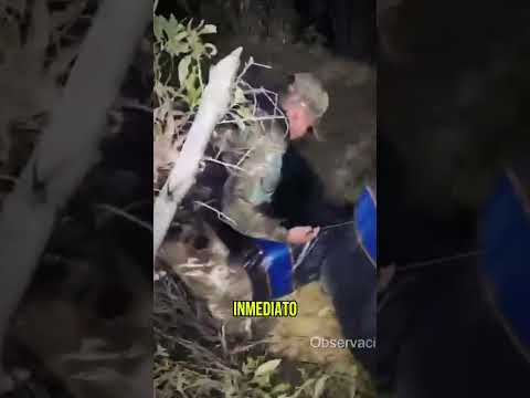 #Ayacucho | 𝐏𝐍𝐏 𝐃𝐄𝐂𝐎𝐌𝐈𝐒𝐀 𝐌Á𝐒 𝐃𝐄 102 𝐊𝐆 𝐃𝐄 𝐌𝐀𝐑𝐈𝐇𝐔𝐀𝐍𝐀 𝐄𝐍 𝐋𝐀 𝐌𝐀𝐑
