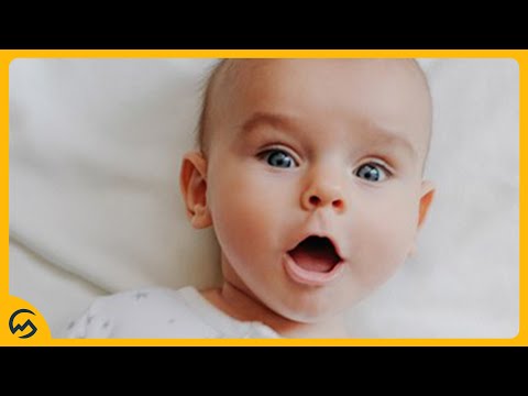 download lagu mp3 mp4 Bijzondere Namen Lijst, download lagu Bijzondere Namen Lijst gratis, unduh video klip Bijzondere Namen Lijst