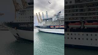 Celebrity infinity cruise ship 🥰