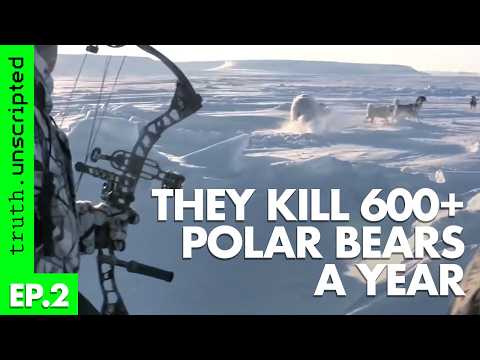 THE POLAR BEAR JAIL – Time to say goodbye [Episode 2]