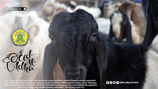 Idul Adha | Ayo Berqurban Di PPATQ