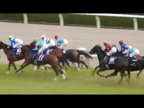 秋華賞2018/アーモンドアイ3冠達成を決めたのは大外一気の鬼脚でした（2018.10.14)