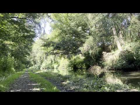 Lav Lewand - Electronic Mix vol.15