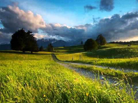 Mienteme Jorge Lavat