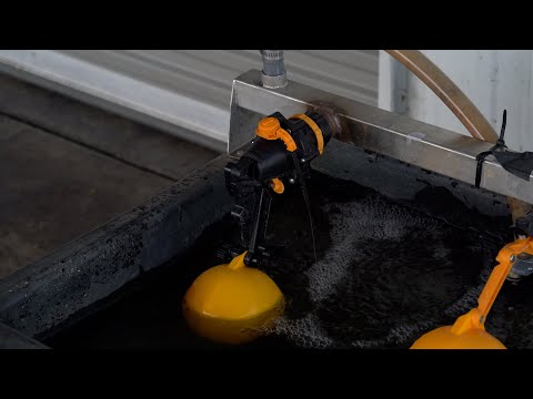 Youtube video of VJTFP