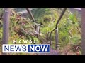 City Issues Warning To Hikers Trying To Get One Last Climb On The Stairway To Heaven
