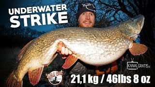 UNDERWATER STRIKE 21,1kg / 46lbs 8oz MONSTER PIKE - Kanalgratis.se