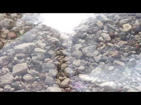 Blendi Shahu - "2 plane"