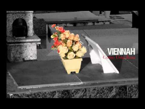 Como Uma Rosa video