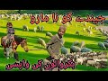 JINDE KO NA MARO❤//  WITH VIDEO SHEPHERD MIGRATION // NEW BAIT GOJRI 2020 //#BAKARWALS #SHEPHARD