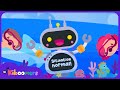 Floor Is Lava Song For Kids Summer Dance Move The Kiboomers Kids Songs
