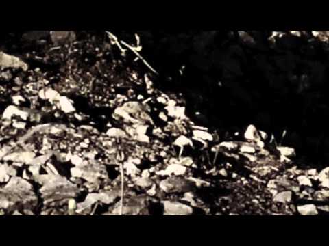 Sergio Project - You're Killing Me