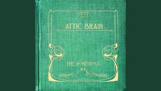 Attic Brain