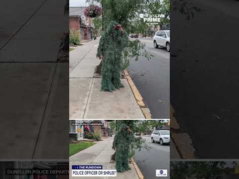 Police Officer catches distracted drivers by dressing in shrub
