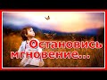 Остановись, мгновение... 