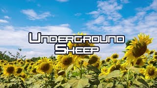 After Horizon | Relaxing Music for Stress Relief