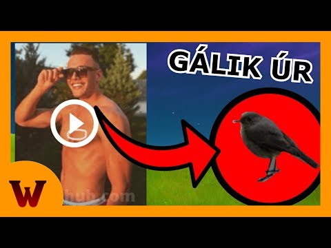 Gálik Úr Botrány! Újabb botrány a magyar közösségben..