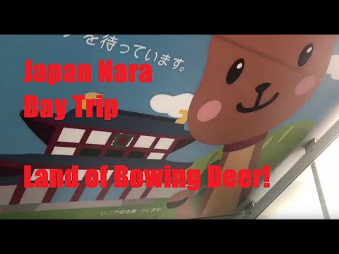 Japan Trip! Nara in 1 Day! (Bowing Deer, Temples, etc)