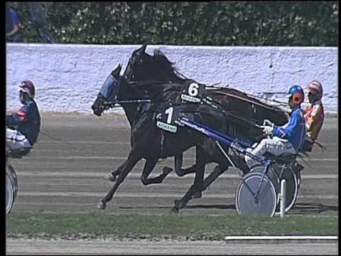 Trotto 08/05/2016 - 1° corsa