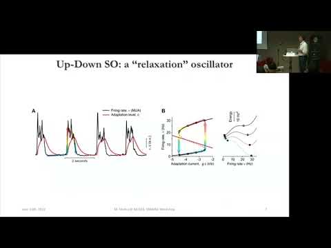 Maurizio Mattia - A simple account of the complexity of slow wave activity