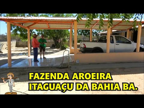 Fazenda Aroeira - Itaguaçu Da Bahia.Vejam o dia a dia do sr Zé na fazenda sozinho ele cuida de tudo