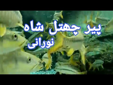 Peer chhatal shah noorani | Gandawah | Balochistan | Arzoo best vlog