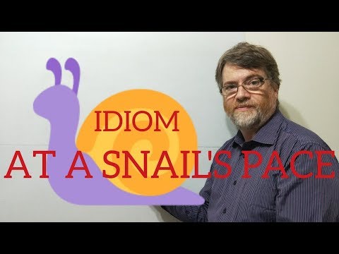 English Tutor Nick P Idioms (254) At a Snail's Pace
