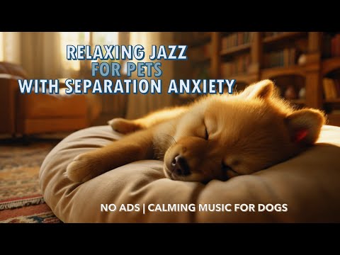 No Ads | 7-Hour Soft Jazz for Calming Dogs🐶 🎶 | Soothing Music to Ease Separation Anxiety