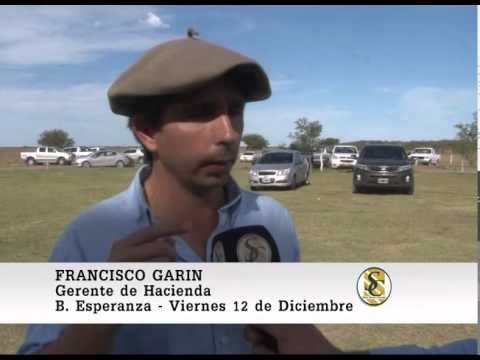 Francisco Garín - Gerente de Hacienda - Alfredo S. Mondino -12-12-14