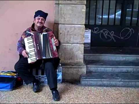 Acordian playing man in Bologna, Italy 2009