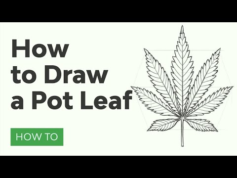 Photoshop for Beginners FREE COURSE