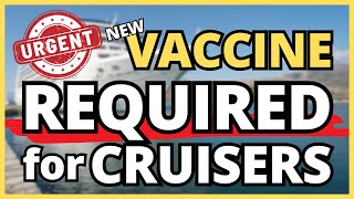 URGENT: NEW VACCINE REQUIRED FOR TRAVEL TO POPULAR CRUISE PORT