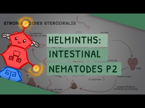 , title : 'Helminths: Intestinal Nematodes Part 2 (features, clinical importance, diagnosis, treatment)'
