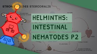 Helminths: Intestinal Nematodes Part 2 (features, clinical importance, diagnosis, treatment)