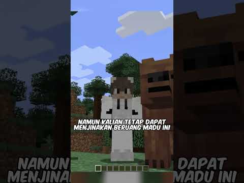 Taming Bears in Minecraft! Pro Tips! #minecraft