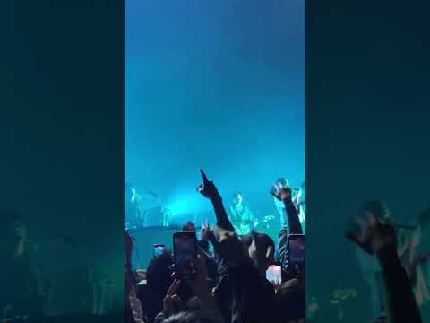 Canvas / STUTS Kaneee