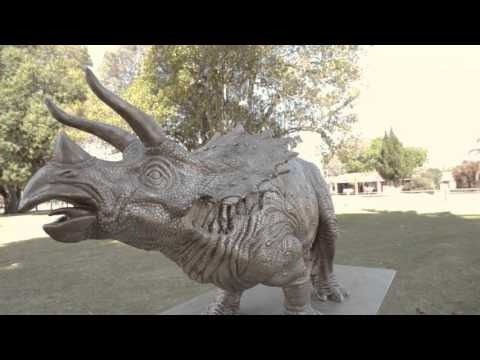 Public Art Installations by Abdul Rahman Abdullah