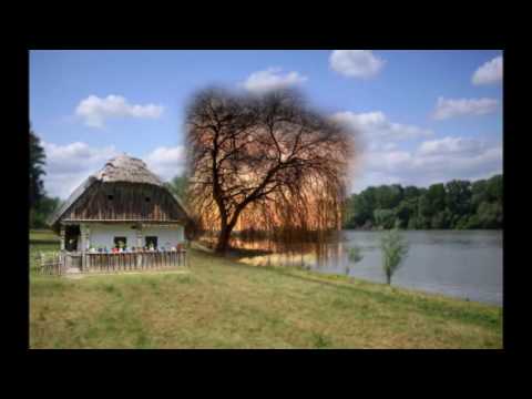 Solti Károly : Van egy ház a Tisza - parton