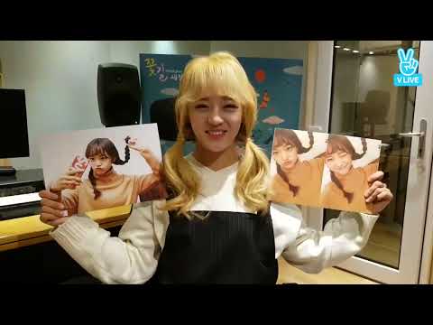 [젤리피쉬_구구단 전 멤버 출신 김세정] 세정과 함께하는 Jelly box 꽃길 스토리 / Jellyfish(젤리피쉬) V LIVE / 2016.11.21