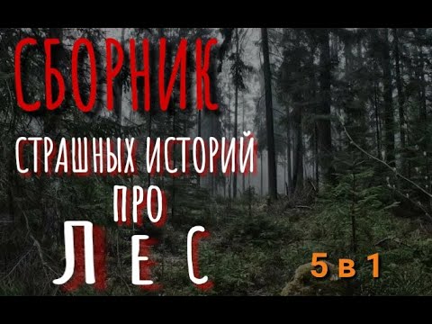 самые страшные истории в исполнении алисы. слушать мистические истории про леса. мистика. страшные истории про лес слушать. страшные истории про лес слушать.