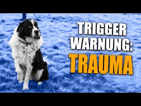 Schock! 😱 Das sollte KEINER erleben!