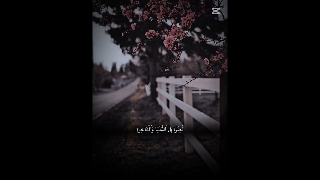 ألا تحبون أن يغفر الله لكم ❤️ تلاوة روحانية جميلة خاشعة ❤️ #قران_كريم