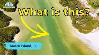 DRONE Reveals Big Sand Changes at Marco Island's Tiger Tail Lagoon!