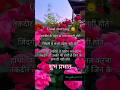 Good Morning Shayari Good Morning Status गुड मॉर्निंग शायरी गु�
