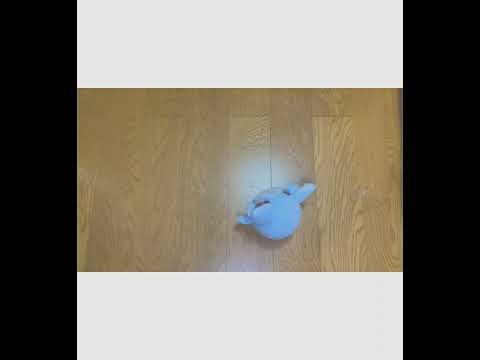 美術学科 ゴロゴロふうたん