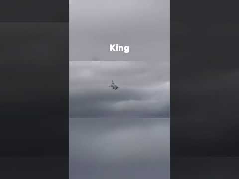 In Comparison I am the king of the skies | Collab with : @DutchDriverr | Edit