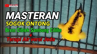 Download lagu MASTER TERAPI SOGON BREM CIBLEK SAMBUNG CILILIN mp3