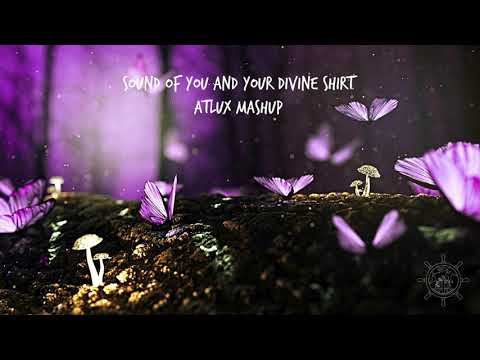 Sound of You and Your Divine Shirt (Illenium/Chelsea Cutler/Jai Wolf/Dirty South/Porter Robinson)