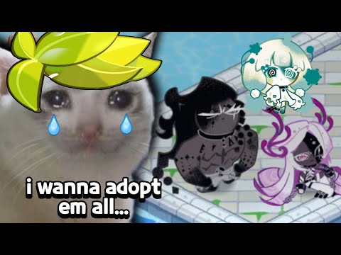 ok, this TRIO needs a NEW HOME...